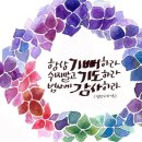 미덕