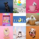 단추스튜디오 이미지
