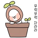(주)다나음 이미지