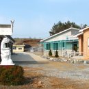 대왕보건진료소 네이버블로그