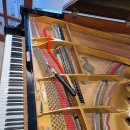 콘체르토음악학원 이미지