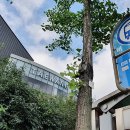 GS칼텍스 성서주유소 이미지