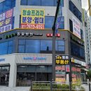 클로버 동물병원 이미지