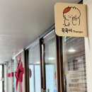 꾹꾹이테라피