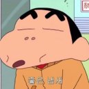 청소쟁이 이미지