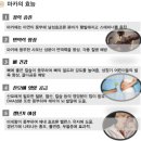 산삼월드