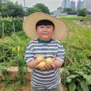 버클리 어린이집 이미지