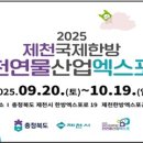 276 이미지