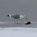 여주-1022 이미지