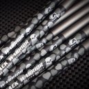 아이언피쉬 이미지