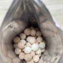 헵시바 F&B | 헵시바에프엔 아비삭 라이스볼 딸기