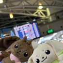 매여로 | 필리핀 쎄부 모알보알 여행 일지