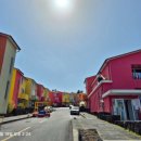 소락스위스 이미지