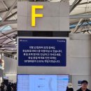 유심 안 바꾸고 로밍하는 법! SK텔레콤 가족로밍 꿀팁 (공항 개통 후기) 📱✈️