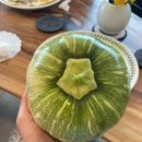 가시머뭄 이미지