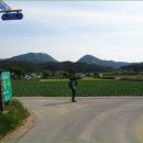 천동리 마을회관 이미지