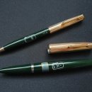 포레스트51
