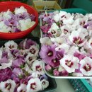 행복예절관 이미지