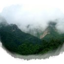 산이랑숲이랑