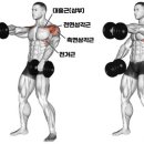 레이즈빌딩 이미지