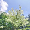 갈마로_2 이미지