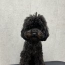 온동물병원 이미지