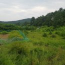 세현공인중개사사무소 이미지