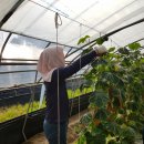 양화면행정복지센터 이미지