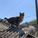 홍연농장 이미지