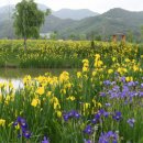 거창-거창-14 이미지