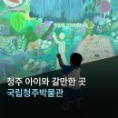 청주문화관 제4전시실 | [충북/청주] 청주 국립박물관 어린이박물관 솔직 후기 ( 예약방법, 예약 링크, 꿀팁 )