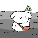 충무체육관 이미지