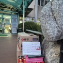 봉성면사무소 이미지