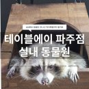 주식회사 테이블에이 고양이카페 | 파주 실내동물원 테이블에이 후기｜아이와 가기 좋은 체험형 동물카페 추천