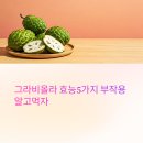 그라비올라 효능5가지 부작용 알고먹자