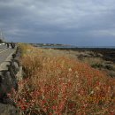 민속해안로 이미지