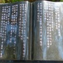 몰운대 이미지