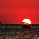 바다소식 이미지