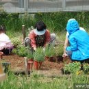 율동생태학습원 이미지