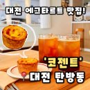 4027 | [코젠트] 대전 탄방동 카페 탄방역 근처 에그타르트 맛집 추천, 코젠트 내돈내산 후기