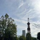 영비어하우스 | (일본) 여름 삿포로 비에이 투어 내돈내산 솔직후기