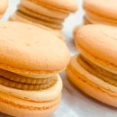 제과제빵B 이미지