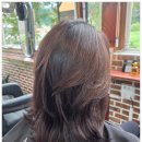 지양길 | 동해모디크 단발 레이어드 변신, 긴머리 내려놓은 후기~