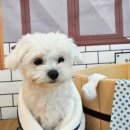 노리멍 네이버블로그