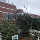 면목4동주민센터 이미지