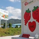 임실레드팜영농조합법인 이미지