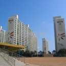 몰운대아파트 네이버블로그