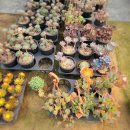 해성농원 이미지