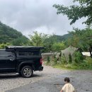 도토리캠프 | 강원도 평창 캠프고토일 캠핑장 | 사이트 GO 1 후기 | 9월 아이랑 가기 좋은 조용한 숲속 캠핑장🏕️🌳