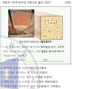 14회 한국사능력검정시험 고급 3번 해설 (고구려의 천문도) 이미지